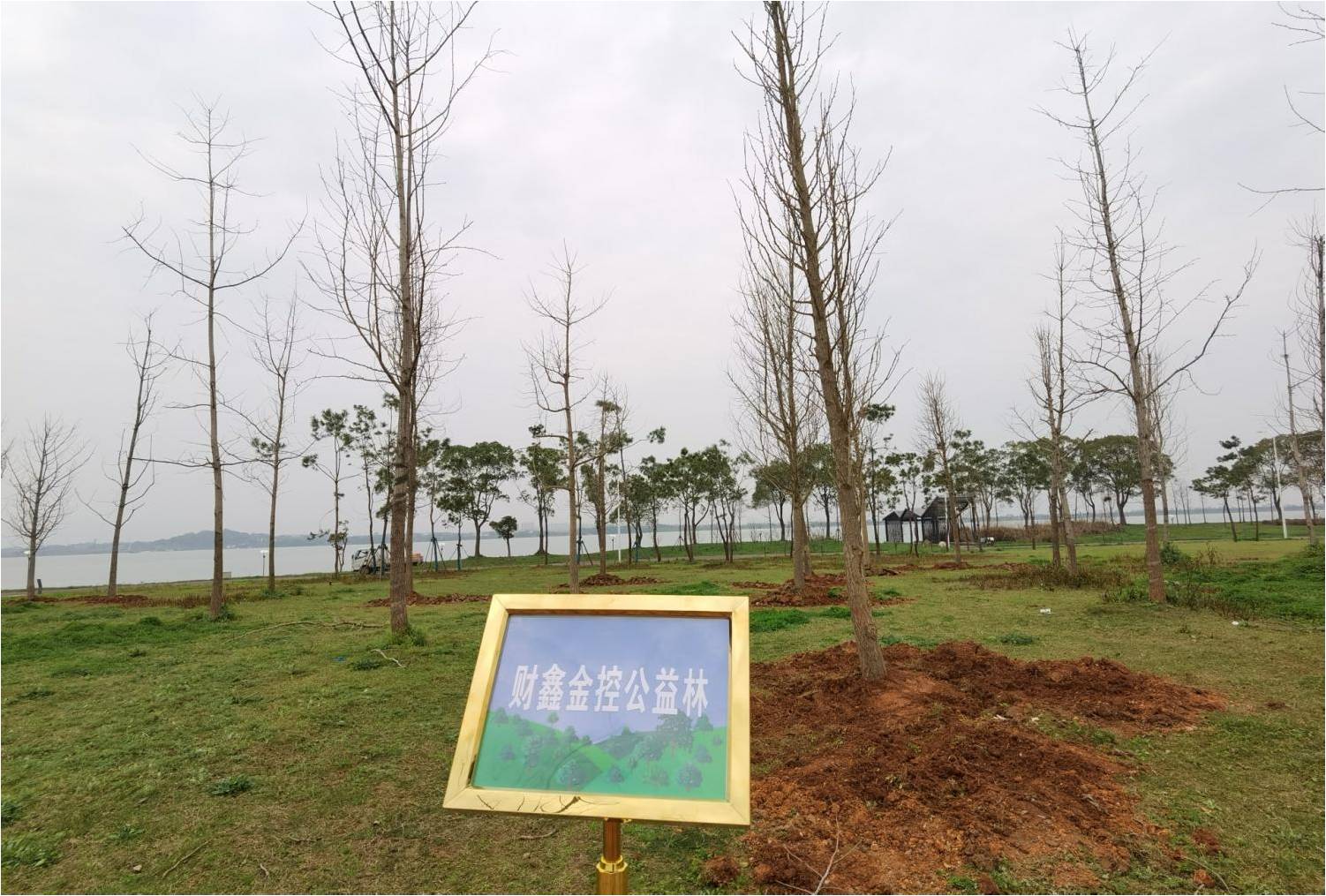 图片5.jpg 图片5.jpg