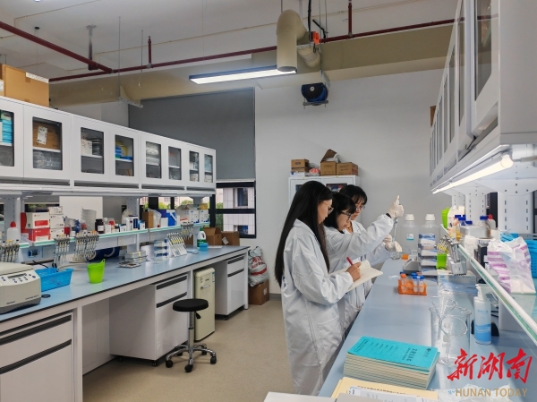 湖南文理学院合成生物学本科专业获批（湖南省首个），今年招录本科生40人、硕士研究生11人，常德市人民政府以湖南文理学院为主阵地，采取校地共建的模式，打造湖南合成生物制造产业创新中心。湖南文理学院供图